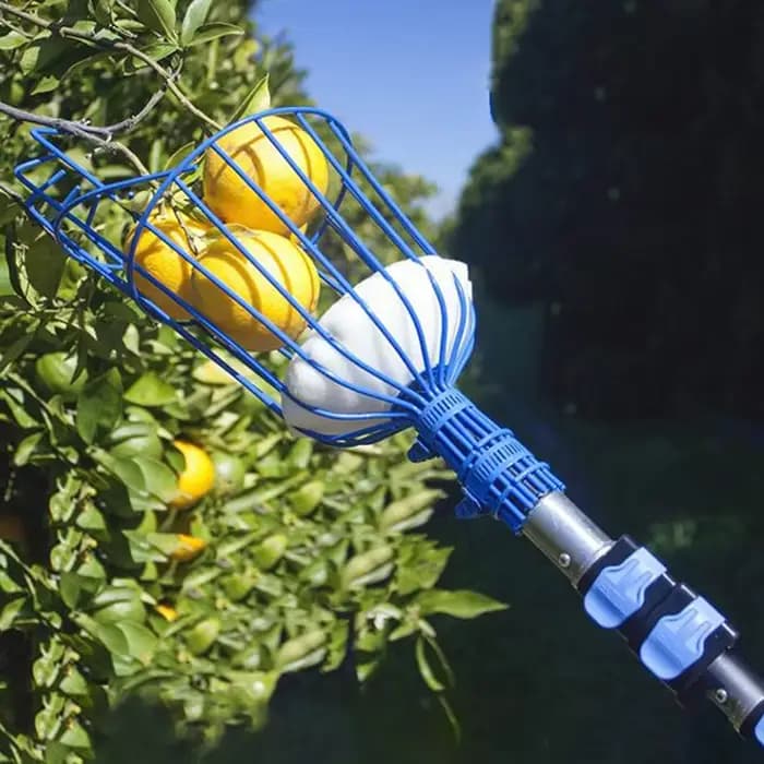 Machine de cueillette de fruits, dispositif de cueillette de fruits, pratique et pratique, outil de
