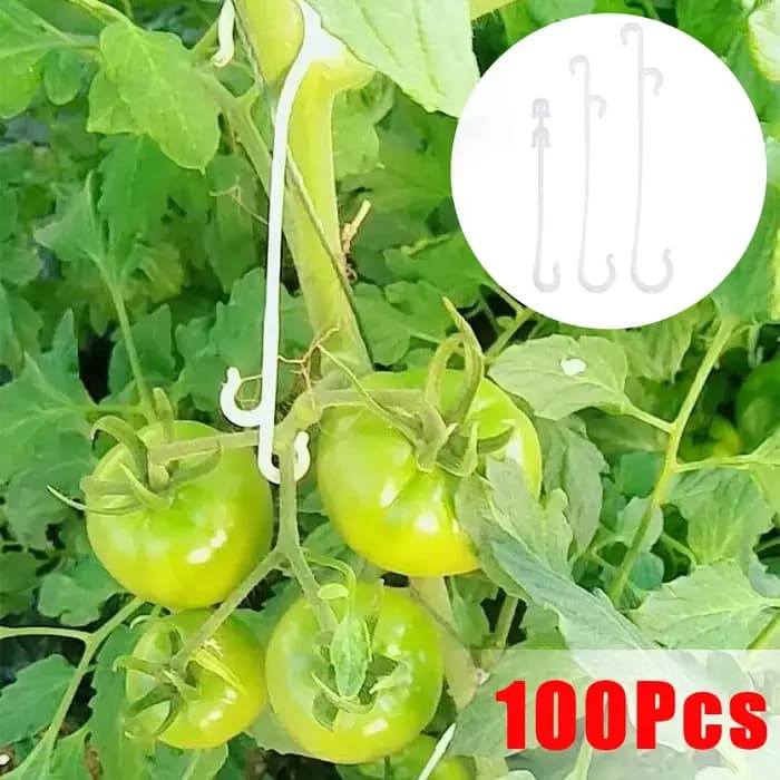 Support de plantes tomates, crochets en forme de J, plantes végétales réutilisables, treillis, vigne