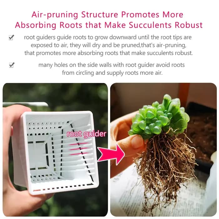 Pots à succulentes respirants avec élagage à l'air