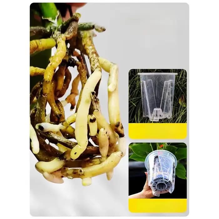 Pot de culture pour plantes d'orchidées, transparent, blanc, épaissi, respirant, contrôle des racines, plastique, grand, 12cm