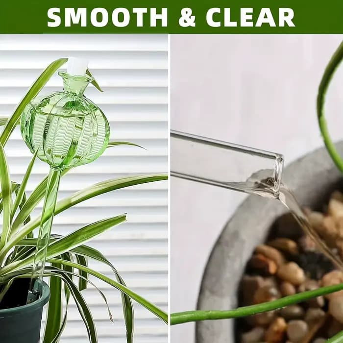 Ampoules d'arrosage automatique en forme de cactus