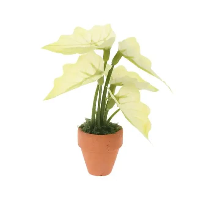 Miniature Plante en Pot Taro Vert 'Turtle Back' pour Maison de Poupées, Modèle de Plante Verte Miniature, Décoration de Jardin et Paysage pour Maison de Poupées, Jouet