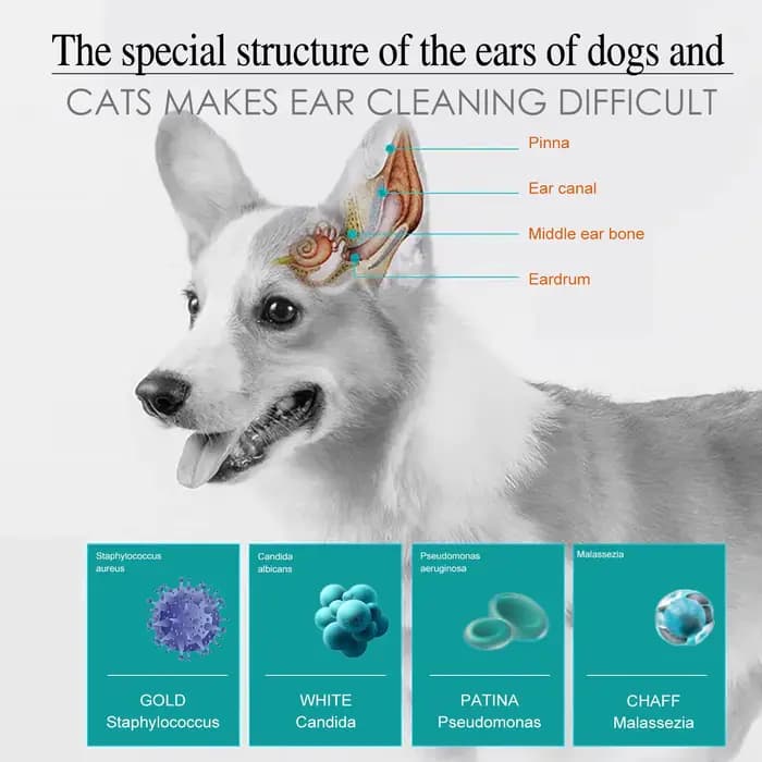 Gouttes auriculaires pour animaux de compagnie : Traitement contre les puces