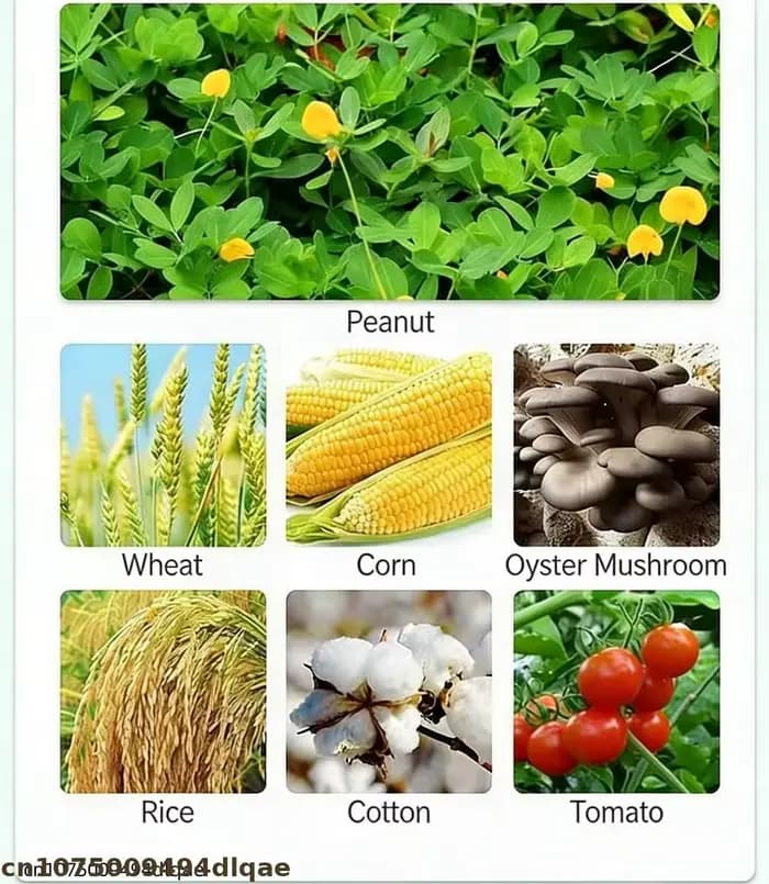 Triacontanol 90% TC Régulateur de croissance des plantes Haute pureté Engrais foliaire pour l'augmentation du rendement