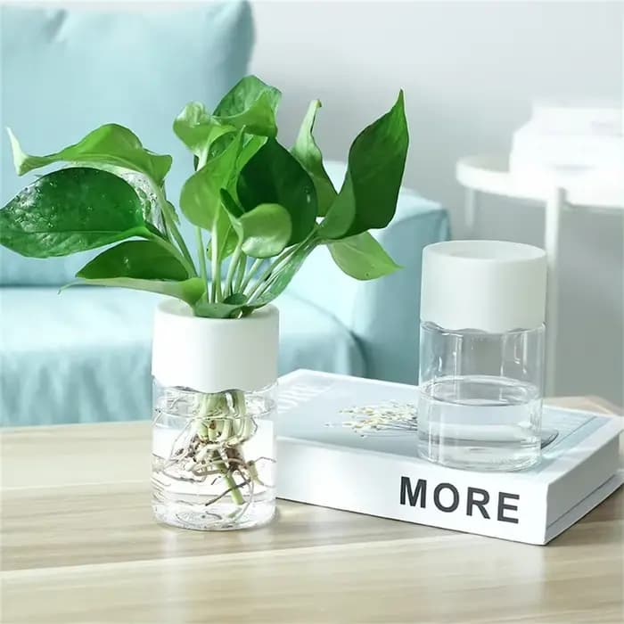 Mini Pot de fleur hydroponique, Vase de plante Transparent sans sol pour la décoration de la maison, Pot de plantes vertes en verre d'imitation