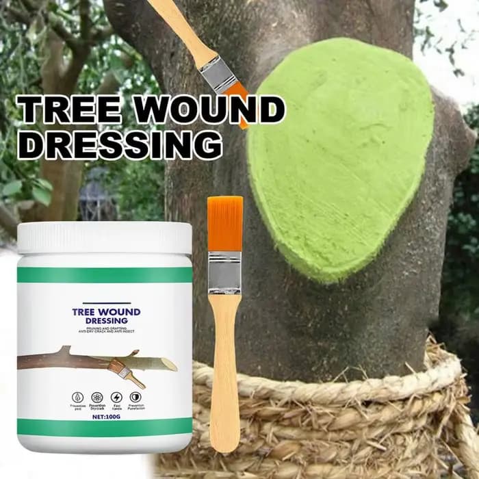 Pâte de greffage d'arbre 100g, pâte pour plaies d'arbre, Agent de frottis, scellant pour l'élagage d
