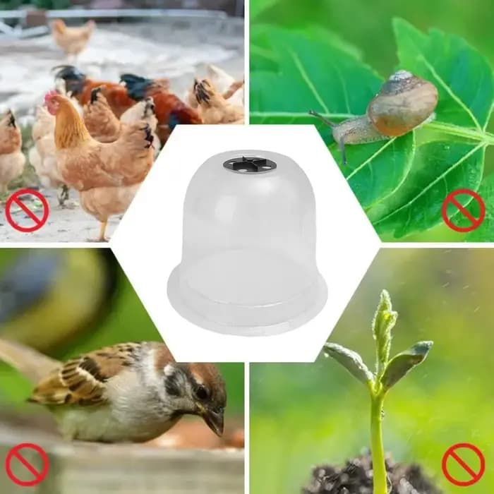 Mini cloches de serre en plastique réutilisables