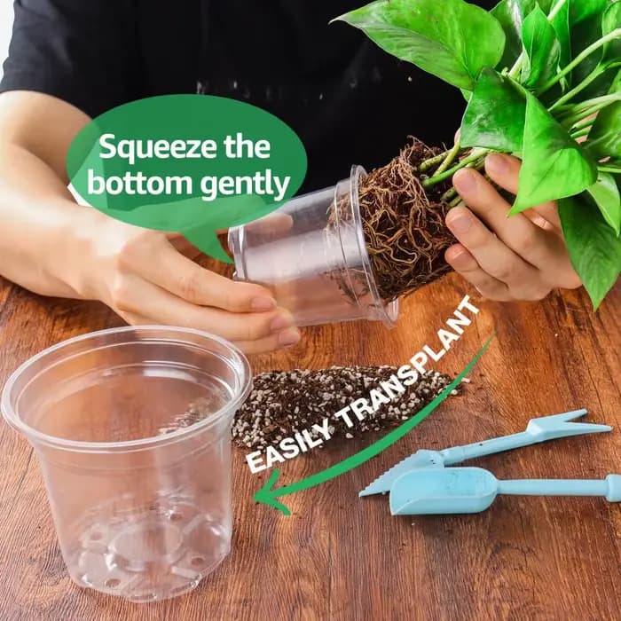 30 ensembles de Pots de pépinière avec dôme d'humidité, Pots de pépinière transparents de 4 pouces (