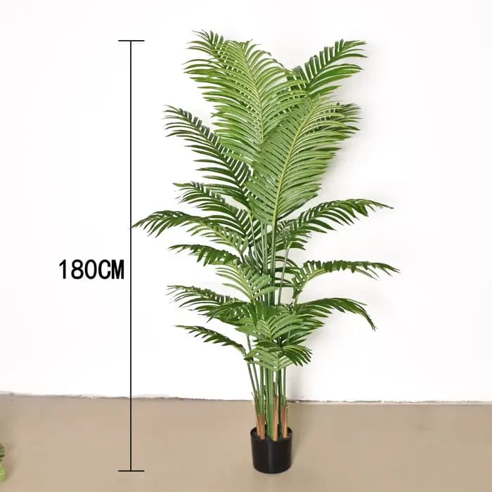 Simulation plante verte Areca