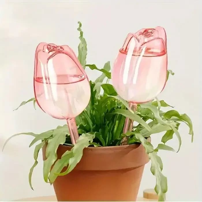 Globes d'arrosage tulipes pour plantes – Système d'arrosage automatique
