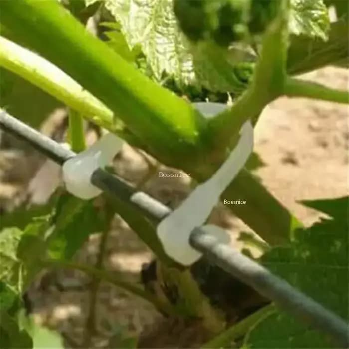 Clips de Support pour plantes en plastique, 50 à 400 pièces, 6CM, Clips de fixation pour tomates et