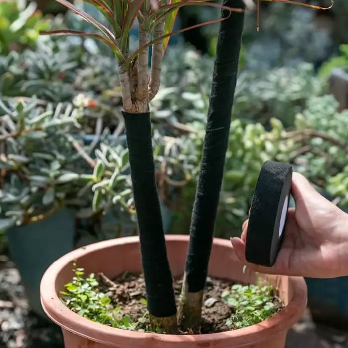 Ruban d'enroulement de bonsaï, ruban d'emballage de fleurs, bandes de tissu d'arbre, outils magiques