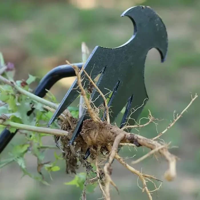 Désherbeur manuel multifonctionnel à 4 dents pour jardin - Outil de désherbage durable et portable pour le jardinage et la culture des légumes