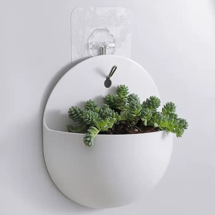 Pot de fleur hydroponique suspendu au mur, Vase en plastique paresseux, Pot de fleur vert, # 2660