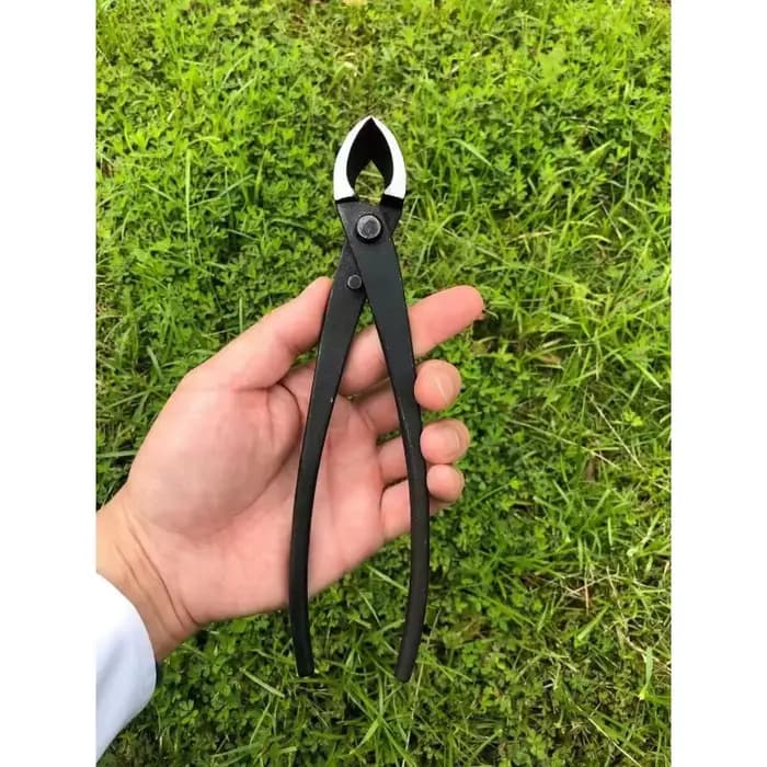 Ciseaux à tête ronde en acier forgé pour coupe de branches d'arbre de jardin, outils de bonsaï, outils de mise en forme des bonsaï
