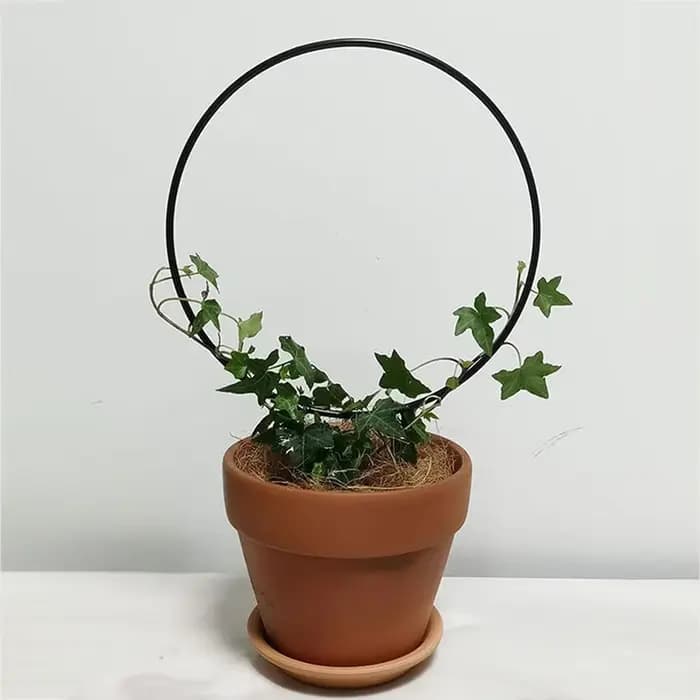 Support de plante grimpante en fer pour plantes grimpantes, avec revêtement antirouille noir pour fl