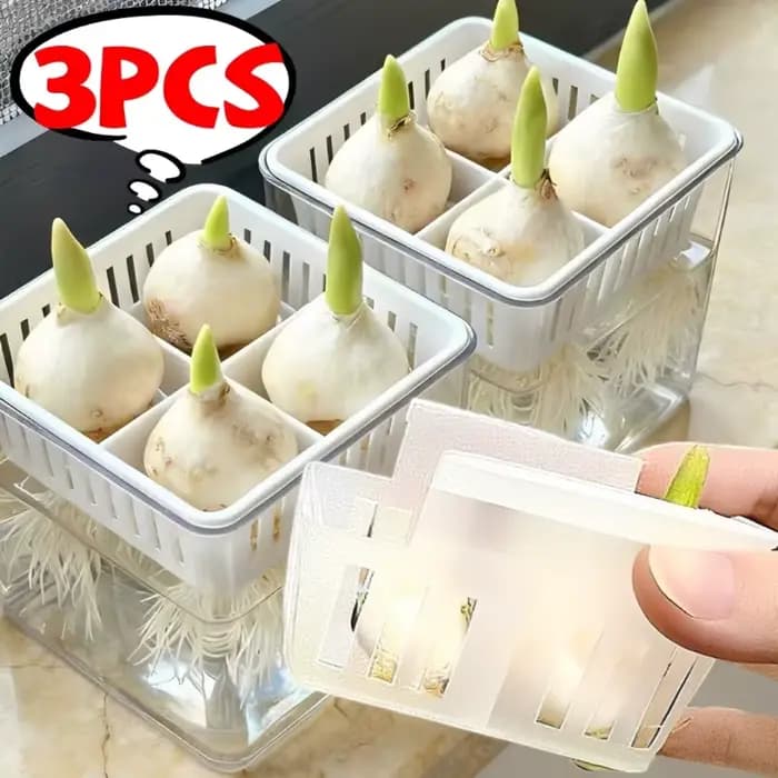 Pot de fleur à quatre grilles pour tulipes hydroponiques