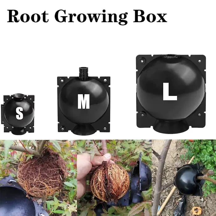Boîte de culture de racines d'arbre, boule d'enracinement réutilisable, outils de greffage, disposit