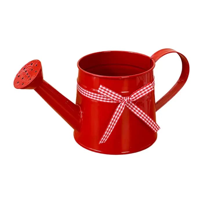 Petite Arrosoir 1L avec Tête de Pulvérisation et Ruban Gingham – Arrosoirs Modernes pour Plantes
