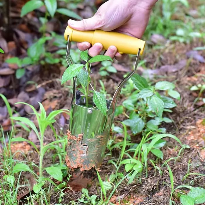 Semoir en acier inoxydable, pelle, manche en bois horticole, perçage de trous, transplantation de semis, plantation de fleurs, jardinière de semis