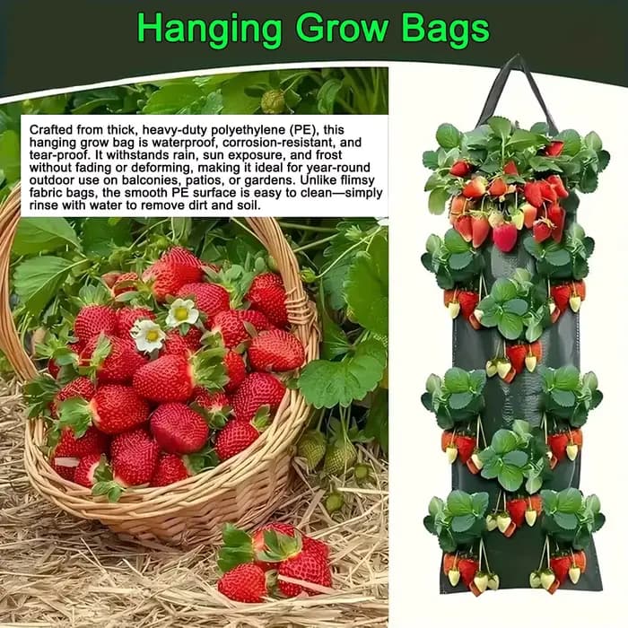 Sacs de culture suspendus pour fraises et tomates, sac de plantation suspendu, jardin vertical, pot