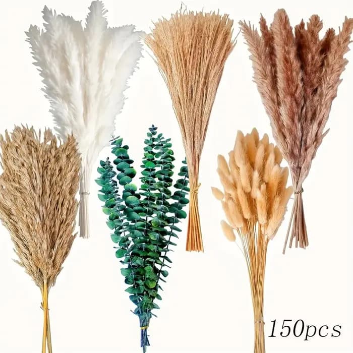Bouquet de 150 tiges de fleurs de pampa naturelles séchées