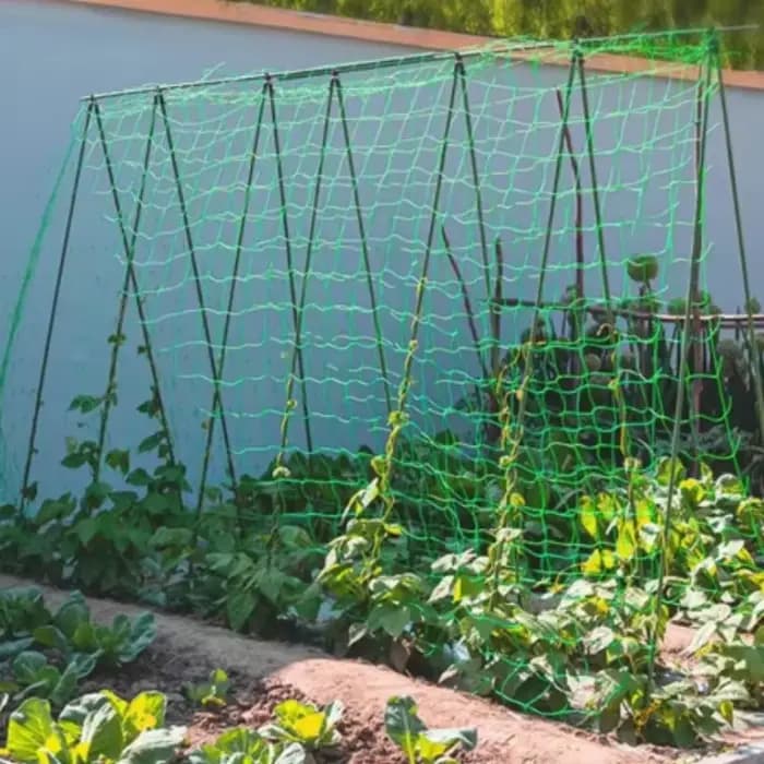 Filet de jardin vert en maille tissée pour protéger les plantes