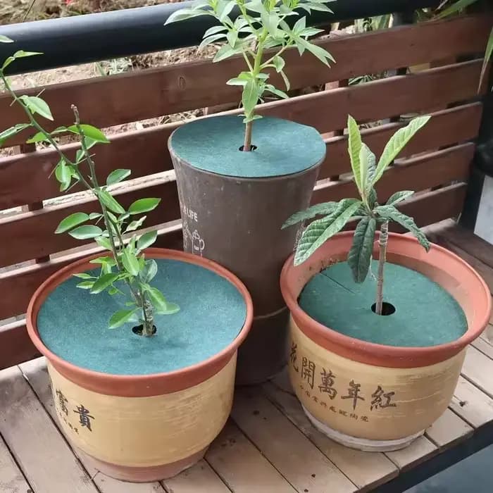 10 pièces Anneaux de paillis en tissu non tissé pour jardinage, barrière pour arbres, protection de