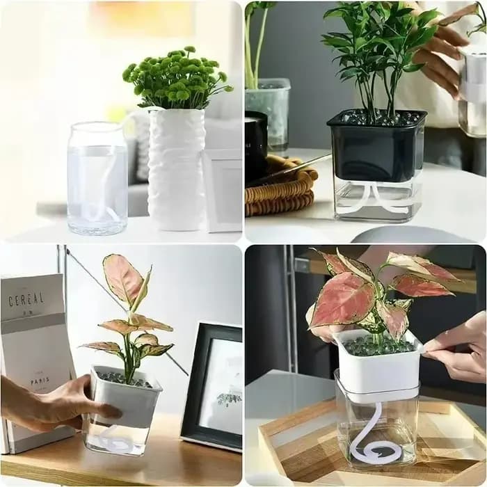 Cordons en coton auto-arrosants 4/5/6 mm pour pots de fleurs, mèches absorbantes automatiques, systè
