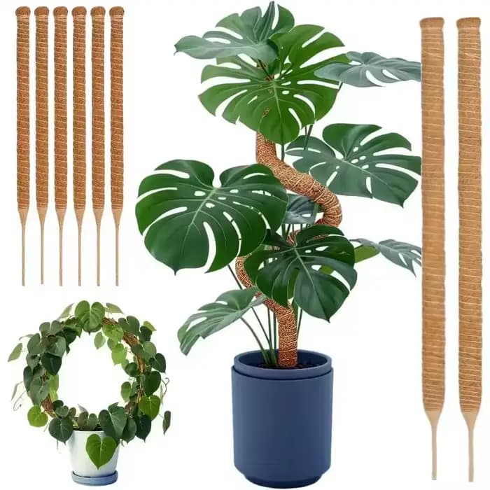 Support de grimpement pliable pour plantes, en fibre de coco, déformable, avec base de fixation, typ