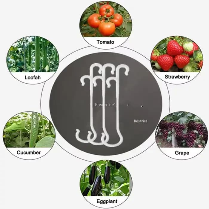 Crochets J de support de tomate pour plantes, pinces à légumes pour empêcher les grappes de fruits T