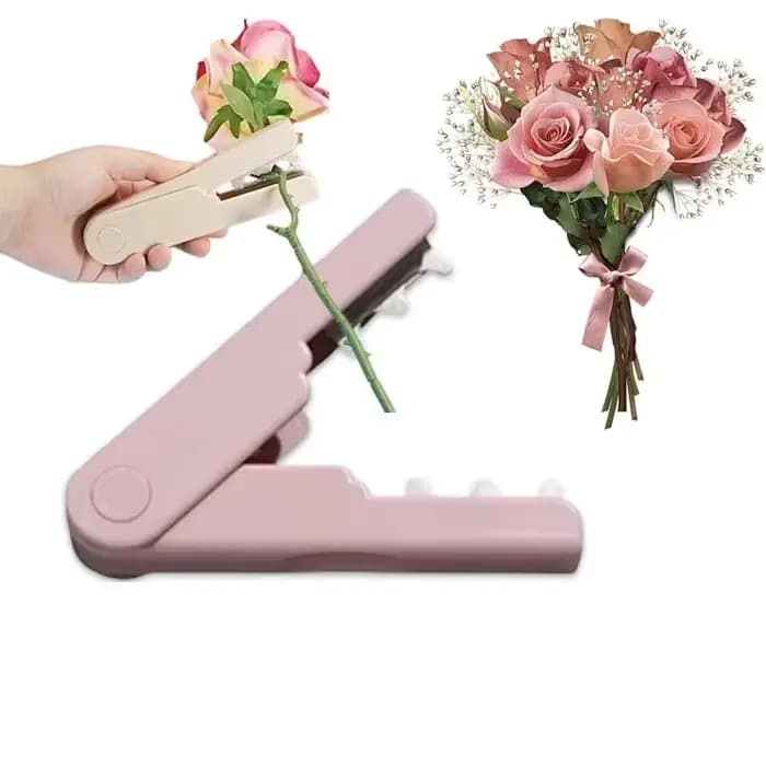 Dissolvant d'épine de Rose
