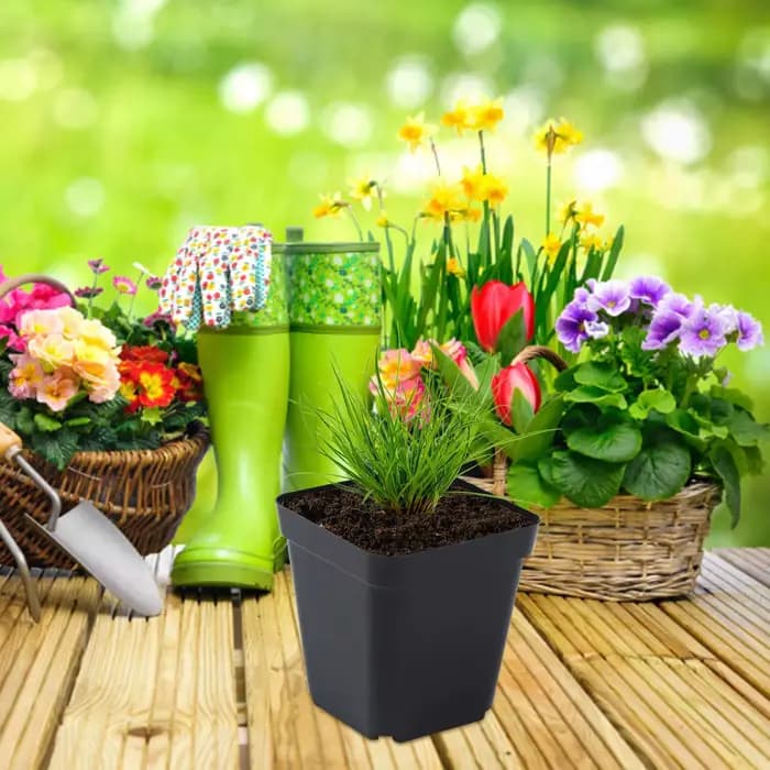 Pots de démarrage carrés noirs pour semis, 50 pièces, pots de pépinière, kit de jardinage pour semis de fruits