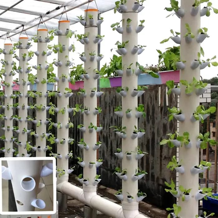 Lita – système de plantation hydroponique pour fruits et légumes, dispositif hydroponique sans sol p