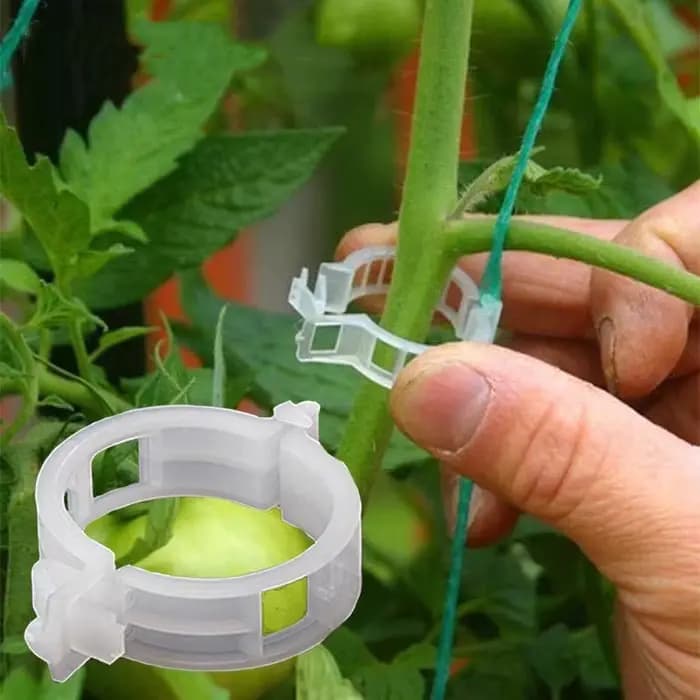 Clips de Plantes en Plastique, Supports Connectés Réutilisables, Protection, Greffage, FiosphTool, F