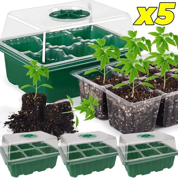 Plateau de semis à 6 compartiments, mini-serre, base de germination pour plantes, boîte de culture, kit de démarrage pour plantes, boîte de culture de graines