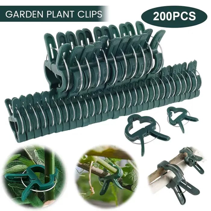 Clips fixes pour plantes 10-200, support de serre réutilisable pour fixer des tiges de fleurs, vigne