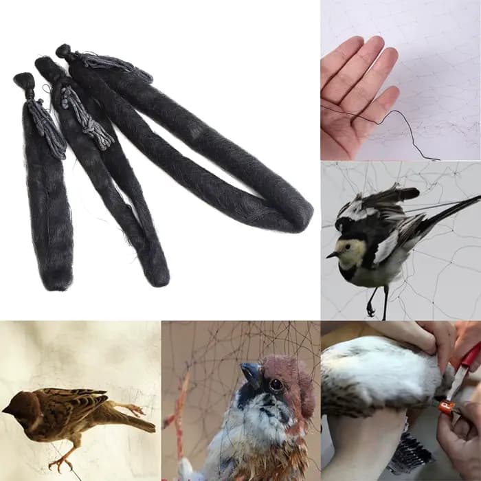 Filet de pêche Anti-oiseaux, filet d'étang, pièges, cultures, lutte antiparasitaire, arbre fruitier,