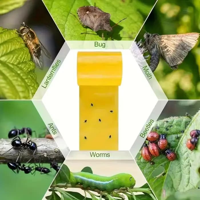 1 rouleau de ruban anti-insectes jaune double face pour empêcher les insectes
