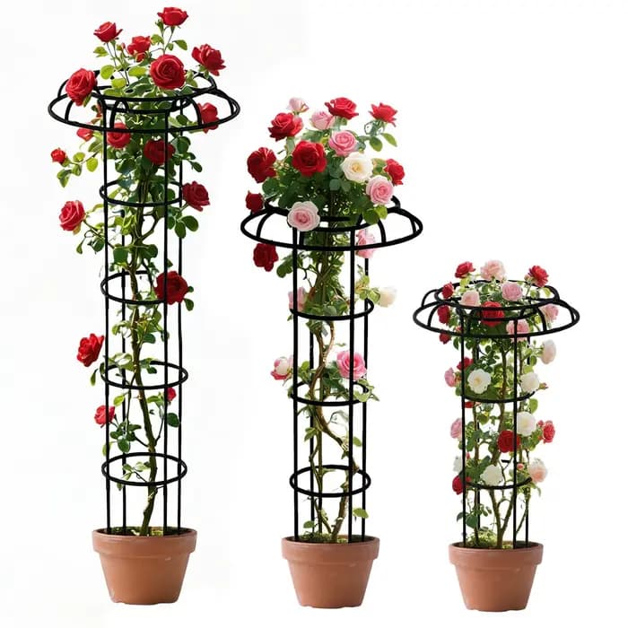 Treillis de jardin en forme de parapluie pour plantes grimpantes