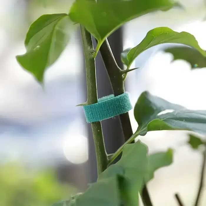 Attaches pour plantes en Nylon réutilisables, 10 rouleaux = 20M, crochet de pansement pour Support d