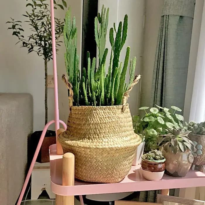 Tissé sale stockage jonc de mer osier rotin suspendu Pot de fleur plante organisateur jardin Gadgets