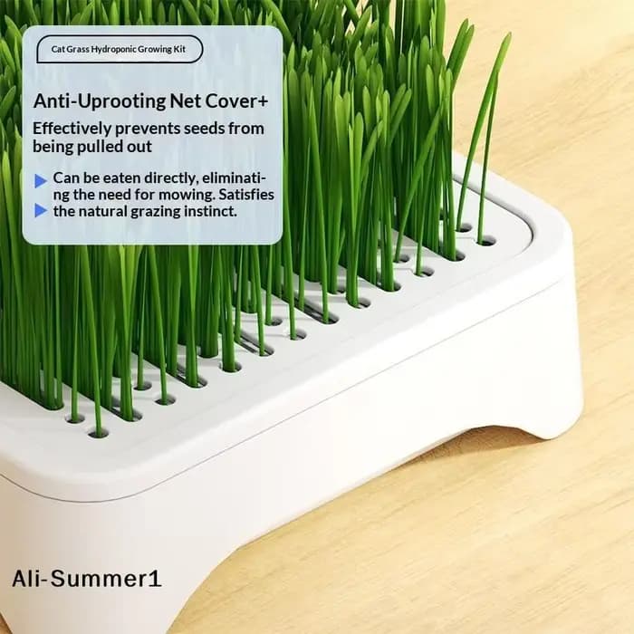【E】Pot de culture hydroponique pour herbe à chat
