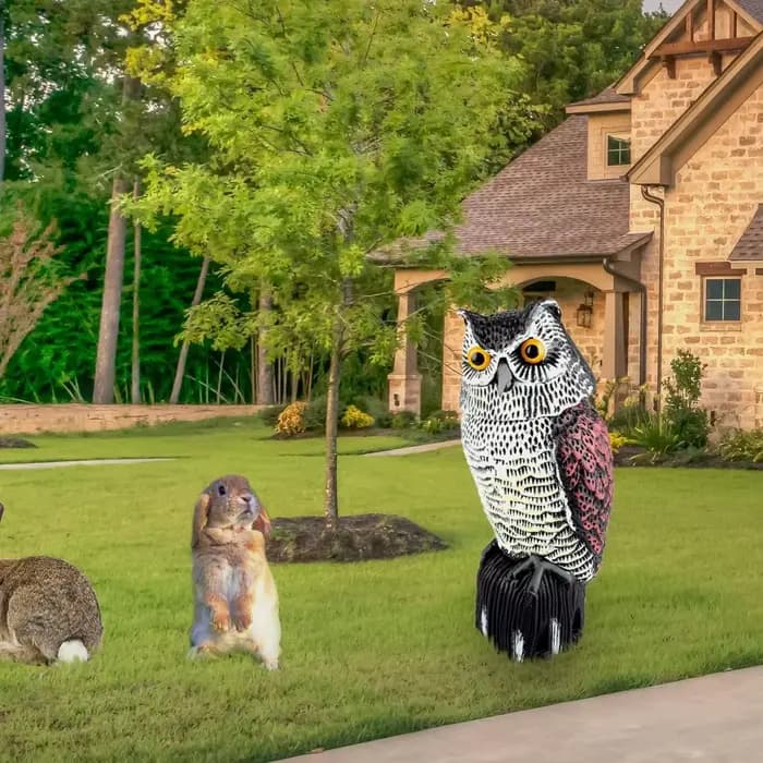 Répulsif d'oiseaux réaliste, leurre de hibou, épouvantail, épouvantail, oiseaux, hibou, propagateur,