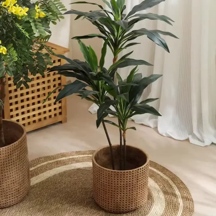 Grand Pot de fleur en bambou et boue de magnésium