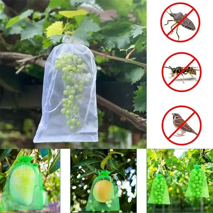 20/50/100 pièces sac de Protection de raisin sac de culture maille fruits antiparasitaires produits respirant gaze frais