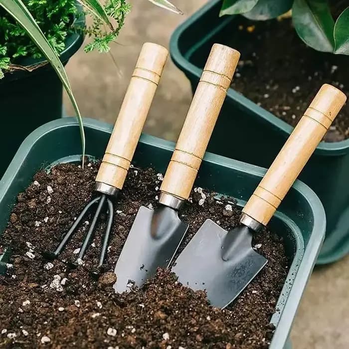 3 pièces/ensemble Mini ensemble d'outils de jardin pour plantes