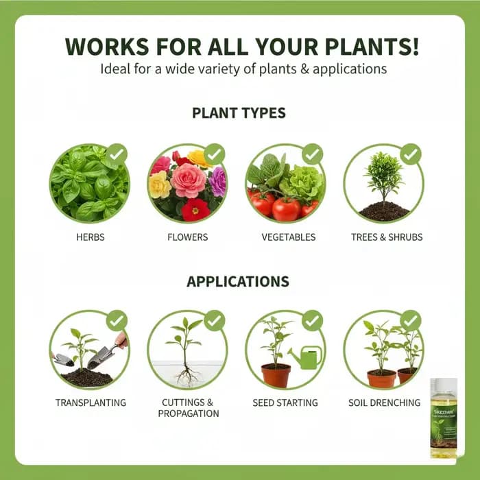 Hormone d'enracinement rapide liquide pour la propagation des plantes