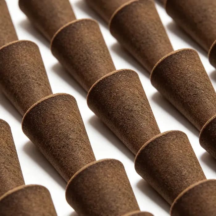 Éponges de culture coniques, fournitures de jardinage, 50 pièces, bouchons de germination rapide pour la propagation et la culture en intérieur et en extérieur