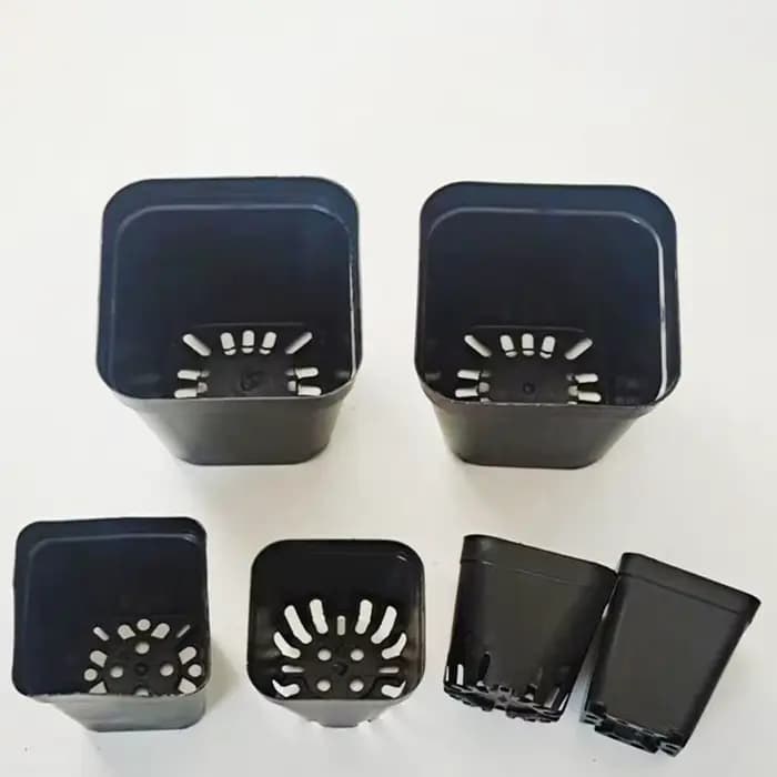 Pots de semis 50 pièces carrés plante semis-gobelet de plantation en plastique pépinière profonde ar